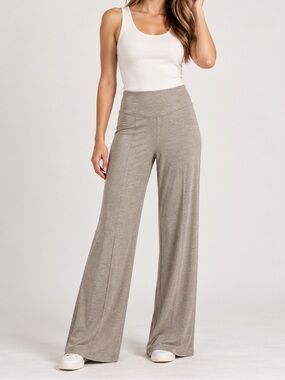 Anatomie Made in Italy Wide Leg Pull-On Pants Size S Taupe Stretch Jersey